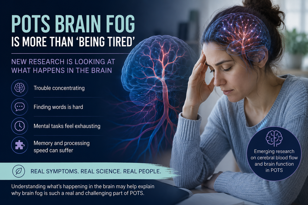 POTS Brain Fog Is More Than “Being Tired”: New Research Is Looking at What Happens in the Brain