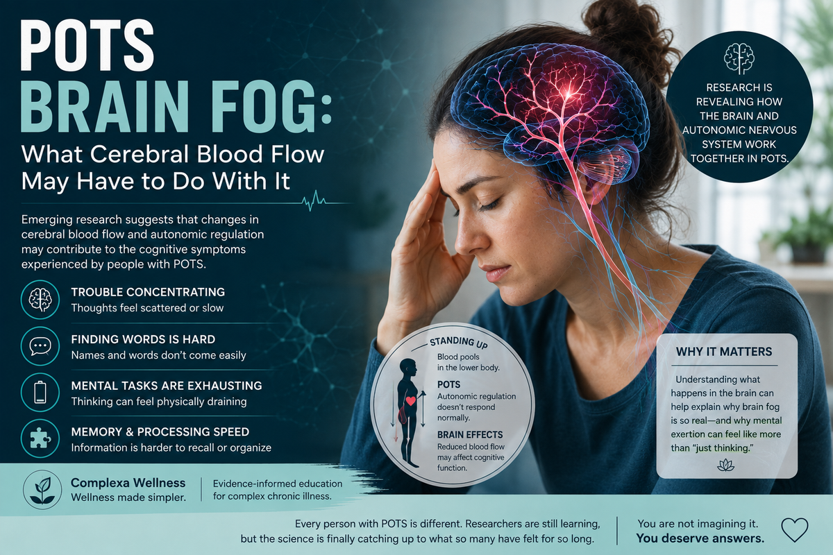 POTS Brain Fog: What Cerebral Blood Flow May Have to Do With It