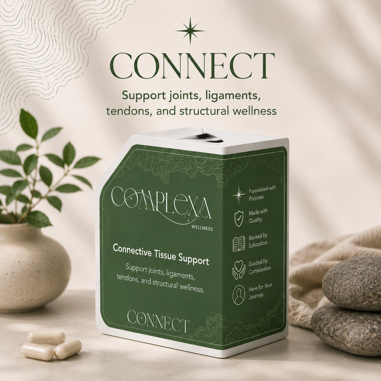 Connect